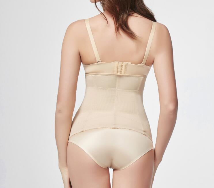 Corset Shaper