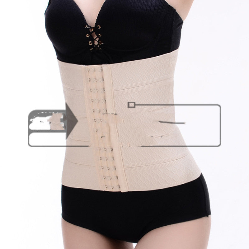 Waist Shaper Belt